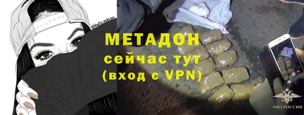 хмурый Аркадак