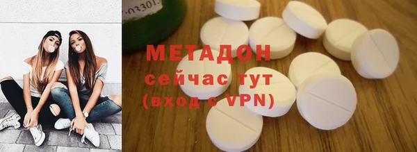 хмурый Аркадак