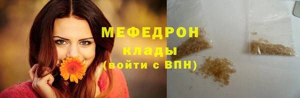 хмурый Аркадак