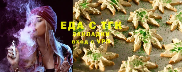 хмурый Аркадак