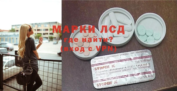хмурый Аркадак