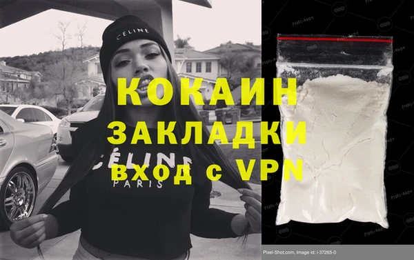 хмурый Аркадак
