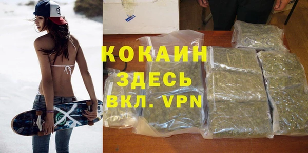 хмурый Аркадак