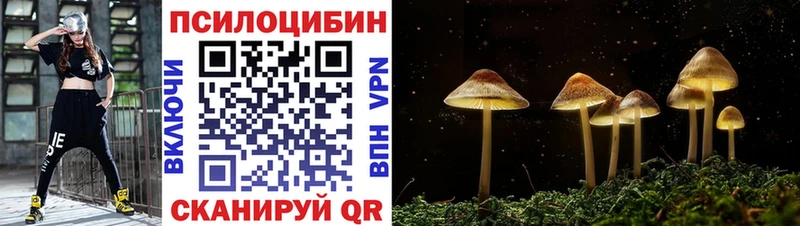 продажа наркотиков  МЕГА ССЫЛКА  Псилоцибиновые грибы Cubensis  Озёры 